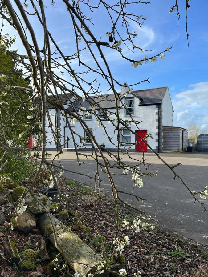 Willow House Bed & Breakfast And Orchard Studios Self Catering Limavady Εξωτερικό φωτογραφία